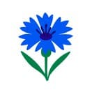 Великие Васильки 🌸